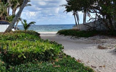 A Business Owner’s Basic Guide to Payroll: Summer Employment Edition